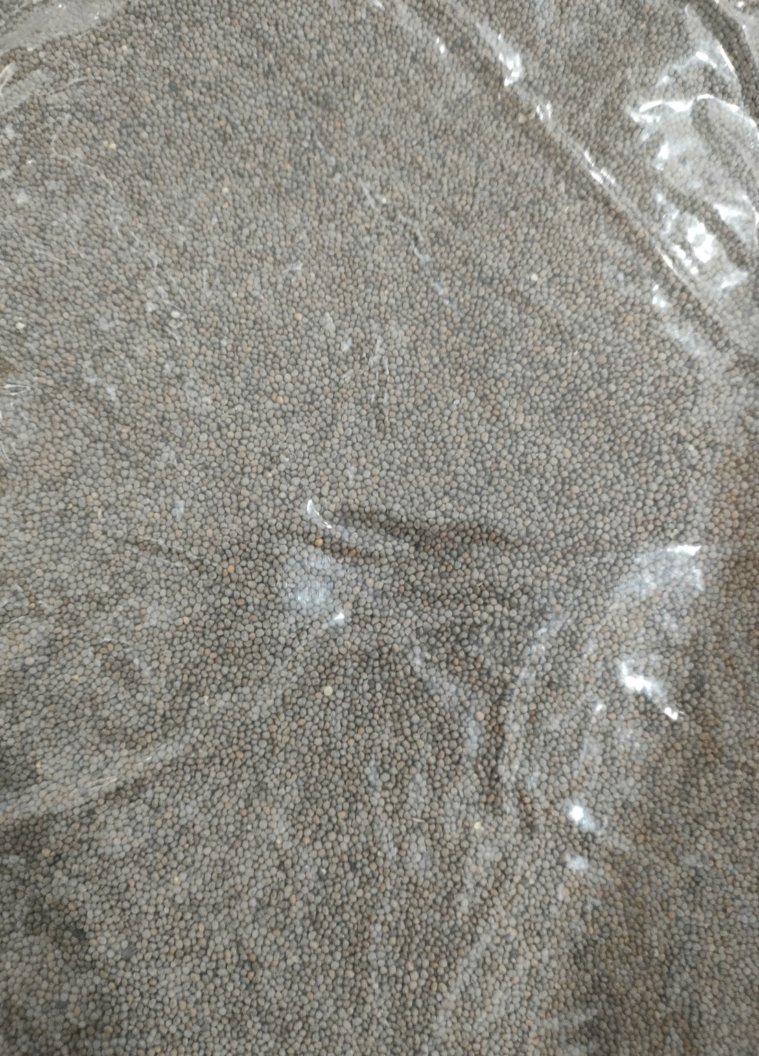 Hạt Chia 1kg